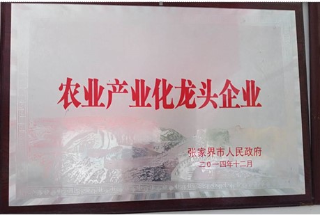 張家界千總生態(tài)食品有限公司,豆類(lèi)食品生產(chǎn)加工銷(xiāo)售,血豆腐生產(chǎn)加工銷(xiāo)售,豆奶生產(chǎn)加工銷(xiāo)售